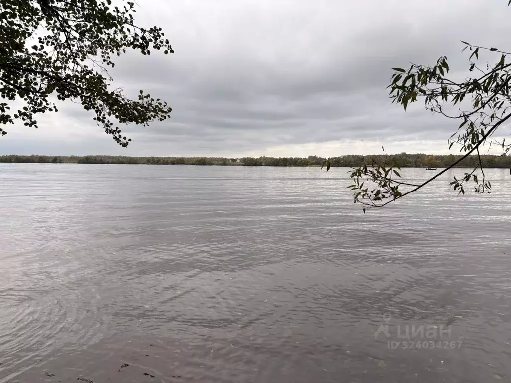 Участок в Тверская область, Кимрский муниципальный округ, д. Кадниково ... - Фото 1