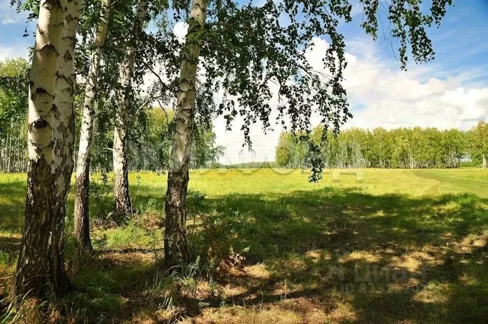 Участок в Новосибирская область, Мошковский район, с. Дубровино ... - Фото 2