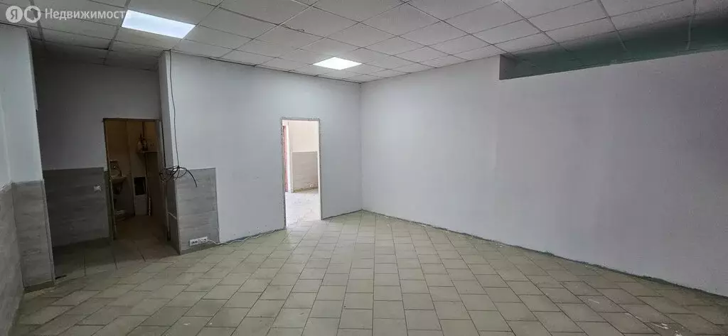 Помещение свободного назначения (244 м) - Фото 1
