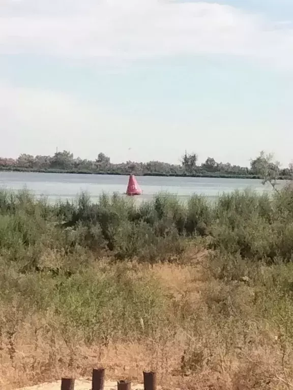 Участок в Астраханская область, Икрянинский район, с. Федоровка ... - Фото 0