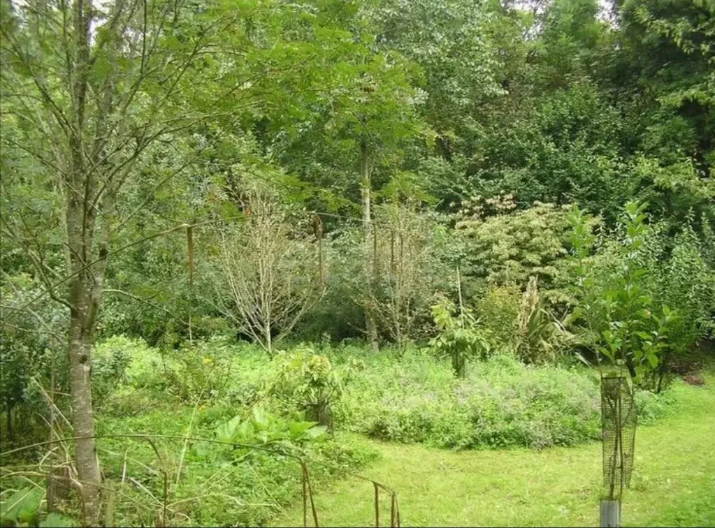 Участок в Ростовская область, Ростов-на-Дону Бетонный пер. (4.0 сот.) - Фото 2