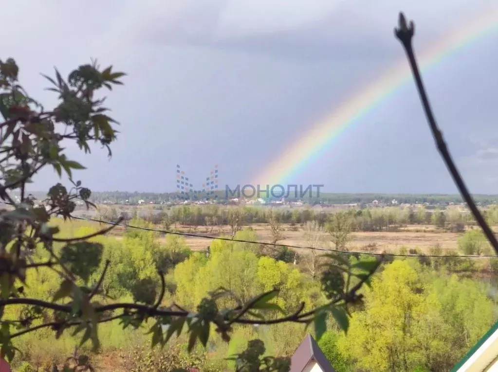 Участок в Нижегородская область, Нижний Новгород Ленинская Слобода ... - Фото 2