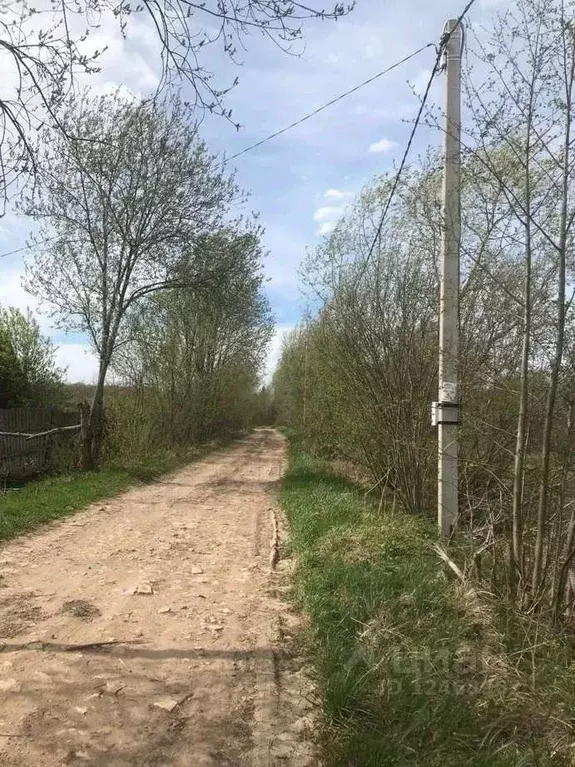 Участок в Новгородская область, Новгородский район, Ермолинское с/пос, ... - Фото 1