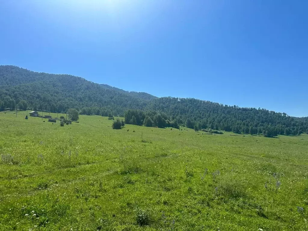 Участок в Алтай, Чемальский район, Элекмонарское с/пос  (10.8 сот.) - Фото 2