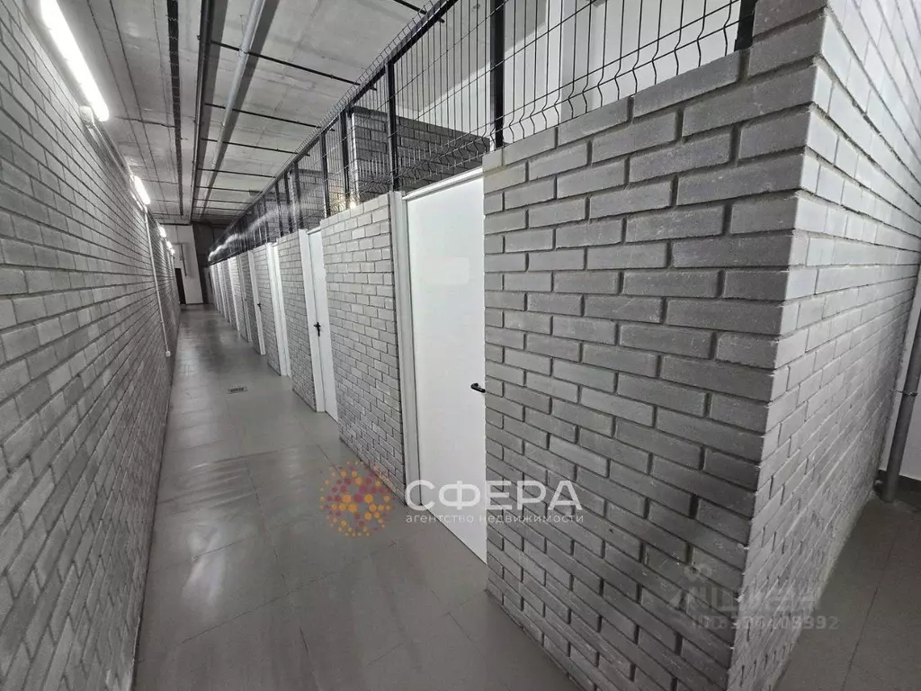 Помещение свободного назначения в Новосибирская область, Новосибирск ... - Фото 1