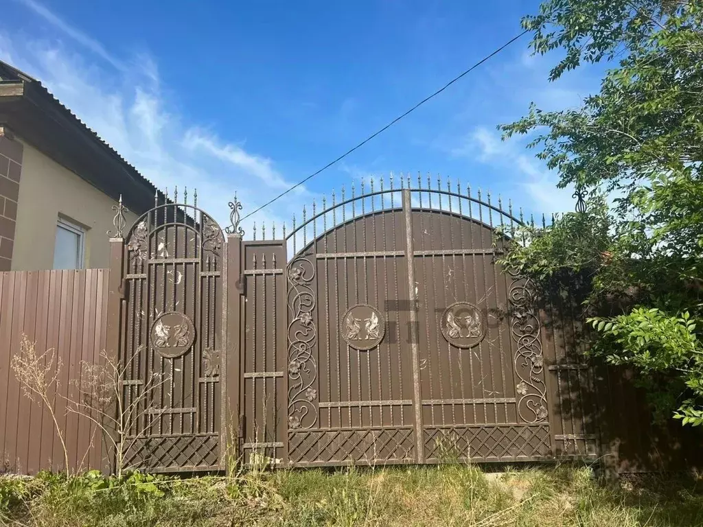 Дом в Челябинская область, Троицк ул. Имени С.М. Цвиллинга, 34 (51 м) - Фото 1