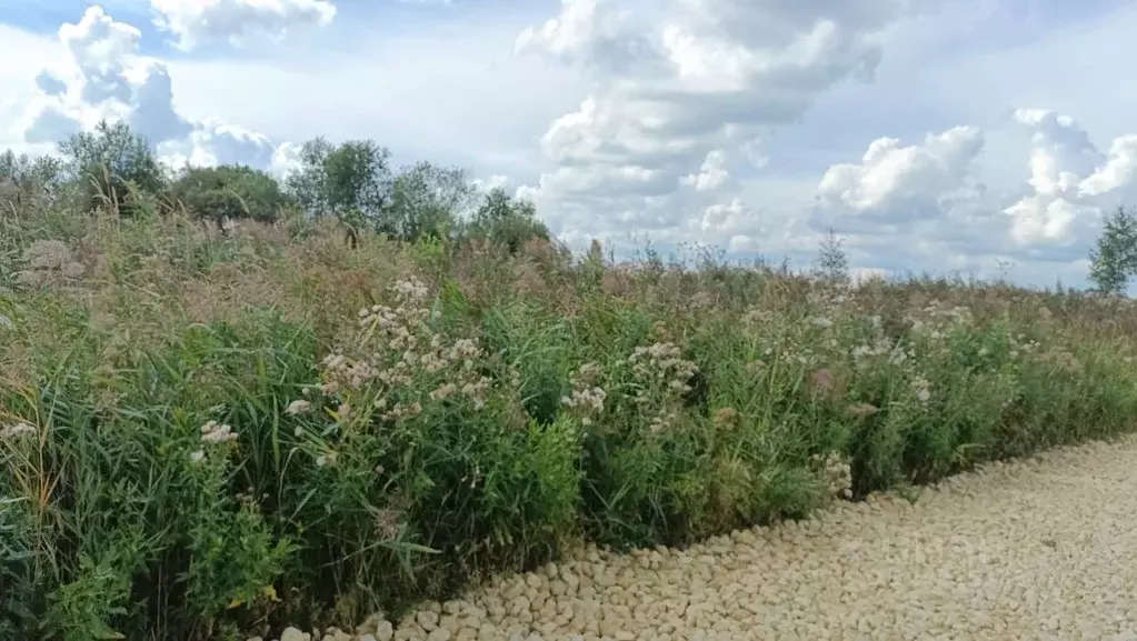 Участок в Ленинградская область, Гатчинский муниципальный округ, пос. ... - Фото 2