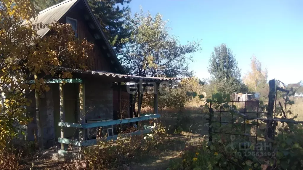 Купить Дачу В Рамонском Районе Озон