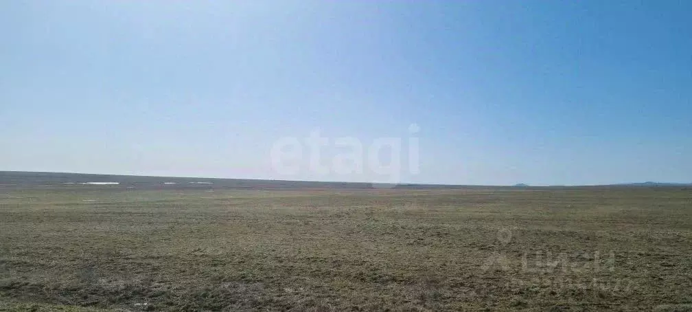 Участок в Крым, Ленинский район, с. Луговое ул. Луговская (793.9 сот.) - Фото 1