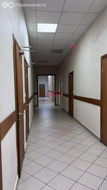Офис (116.5 м) - Фото 1