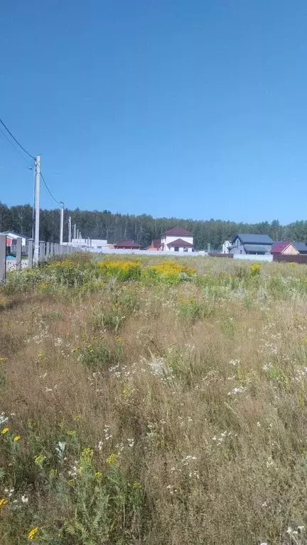 Участок в Московская область, Богородский городской округ, д. Боково, ... - Фото 2
