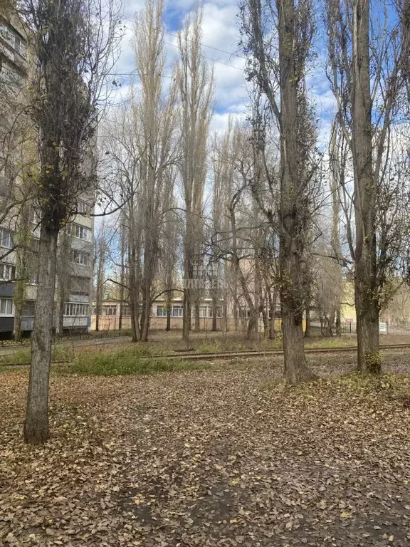 2-к кв. Воронежская область, Воронеж Ростовская ул., 50/5 (43.3 м) - Фото 2