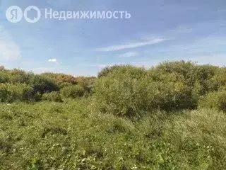 Участок в Тюменский район, садоводческое некоммерческое товарищество ... - Фото 1