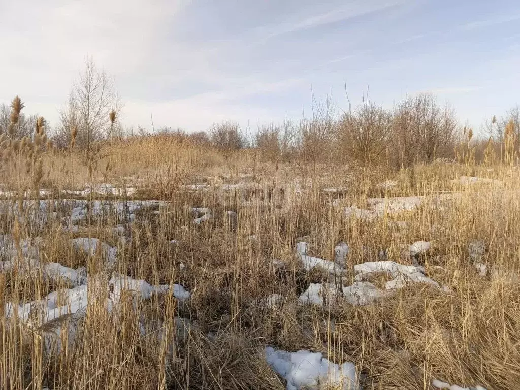 Участок в Саратовская область, Балашов Нефтяная ул. (9.3 сот.) - Фото 1