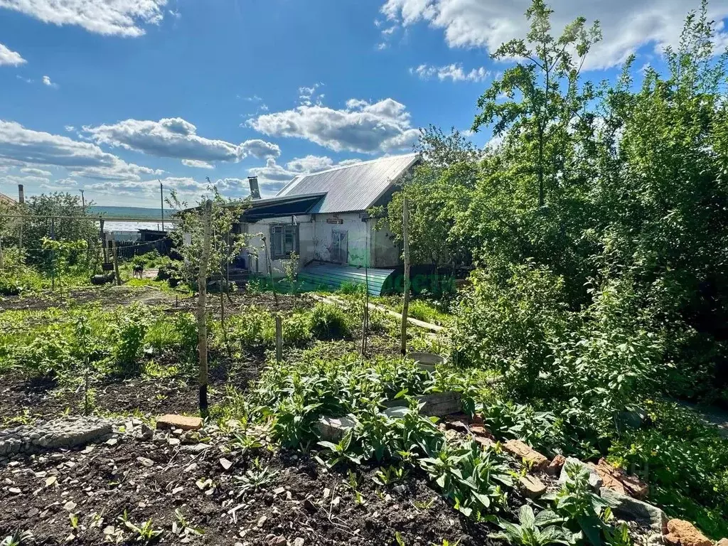 Дом в Саратовская область, Вольск Привольская ул., 2 (47 м) - Фото 1