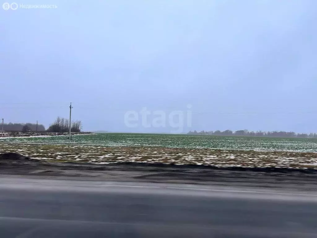 Участок в Ярославская область, Любимский муниципальный округ, деревня ... - Фото 1