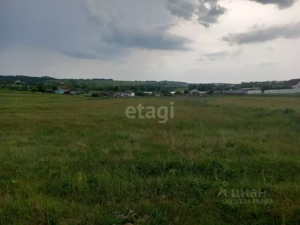 Участок в Белгородская область, Губкинский городской округ, с. Мелавое ... - Фото 1