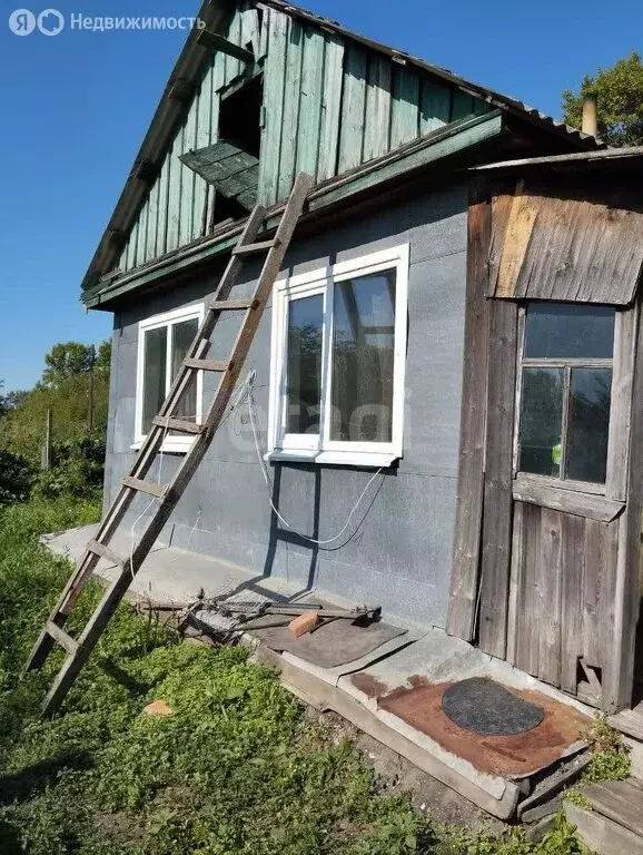 Дом в село Среднебелая, улица Папулова (40.9 м) - Фото 0