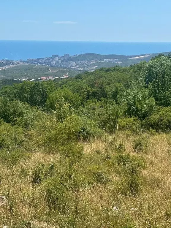 Участок в Крым, Алушта муниципальный округ, с. Изобильное ул. ... - Фото 0