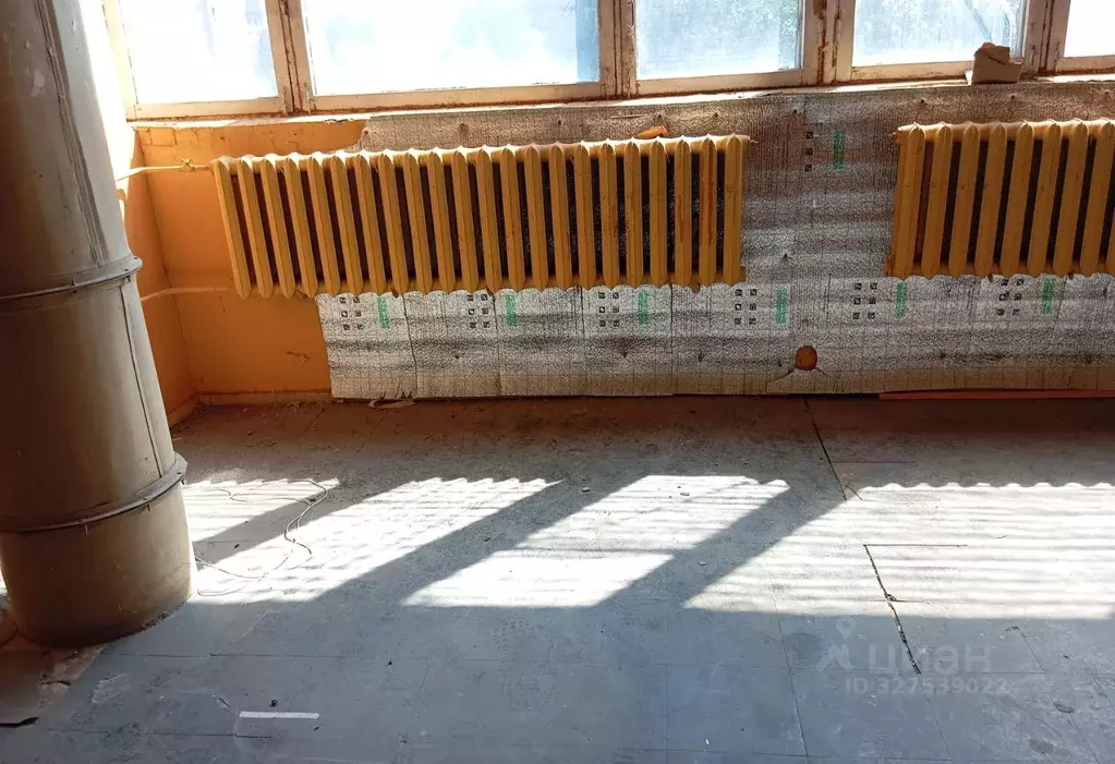 Помещение свободного назначения в Новосибирская область, Новосибирск ... - Фото 2