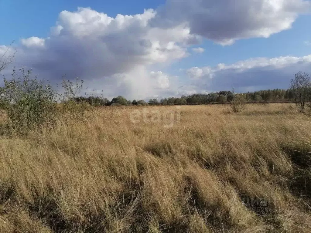 Участок в Воронежская область, Воронеж Имени Буденного мкр, ул. ... - Фото 1