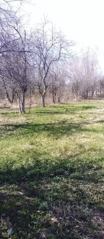 Участок в Челябинская область, с. Аргаяш  (22.0 сот.) - Фото 1