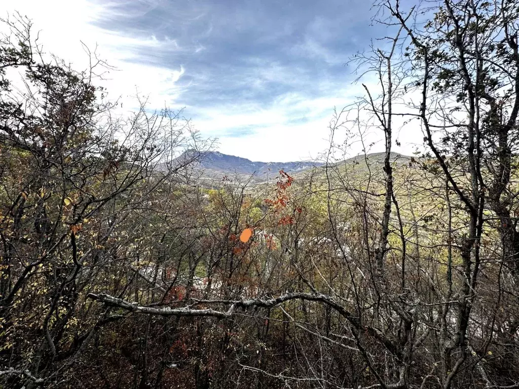 Участок в Крым, Алушта муниципальный округ, пос. Семидворье, Надежда ... - Фото 2