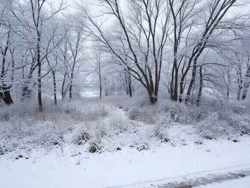 Участок в Амурская область, Белогорск Волочаевская ул. (8.0 сот.) - Фото 1