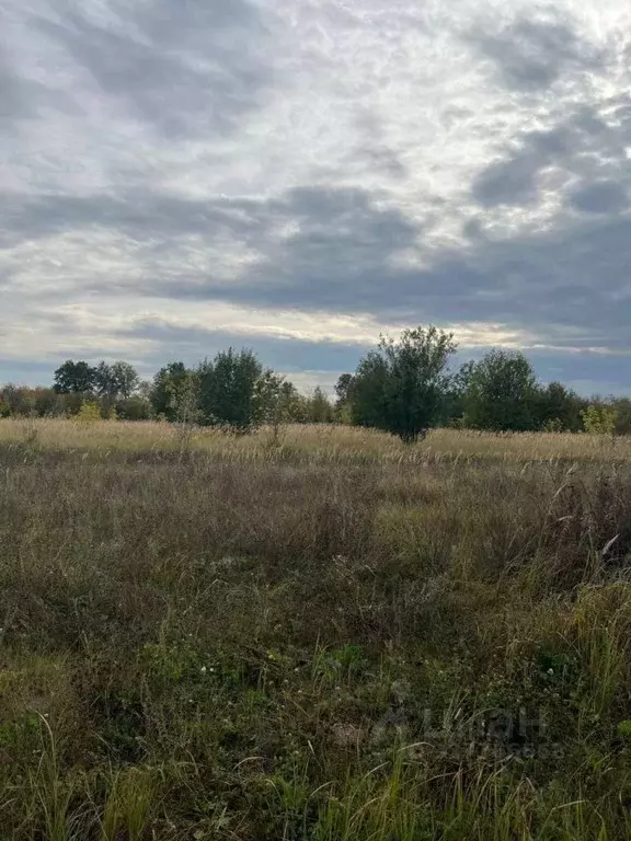 Участок в Татарстан, Лаишевский район, Рождественское с/пос, д. ... - Фото 1