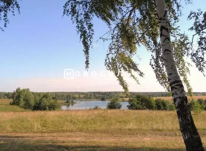 Участок в Рязанская область, Рязанский район, Семеновское с/пос, д. ... - Фото 0