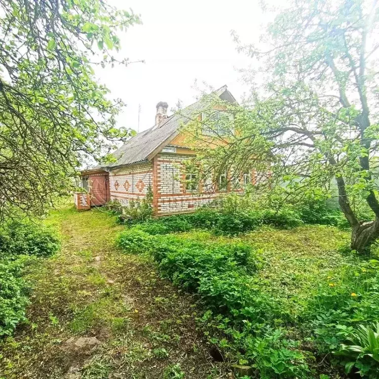 Дом в Ленинградская область, Волосово Нарвская ул., 15А (50 м) - Фото 1