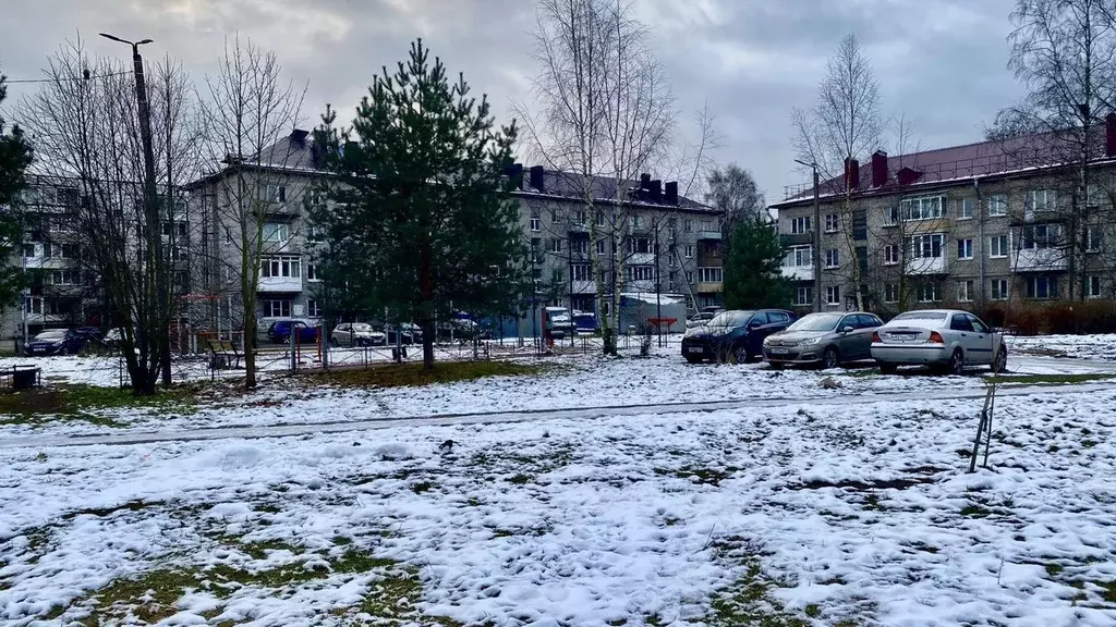 2-к кв. Ленинградская область, Кировск ул. Пушкина, 10 (43.0 м) - Фото 2