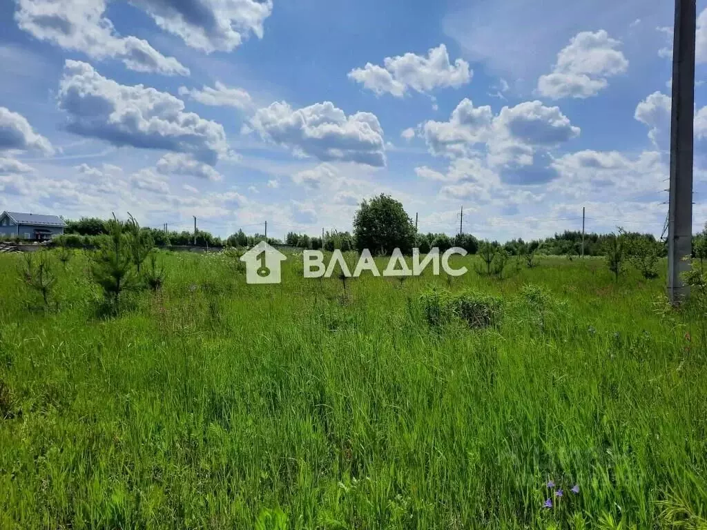 Участок в Владимирская область, Суздальский район, Павловское ... - Фото 1