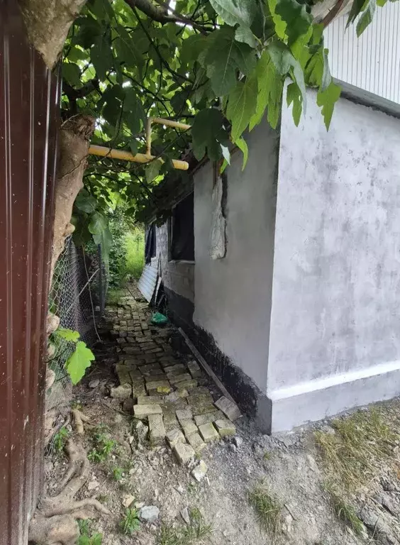 Дом в Краснодарский край, Сочи городской округ, с. Ордынка  (50 м) - Фото 2