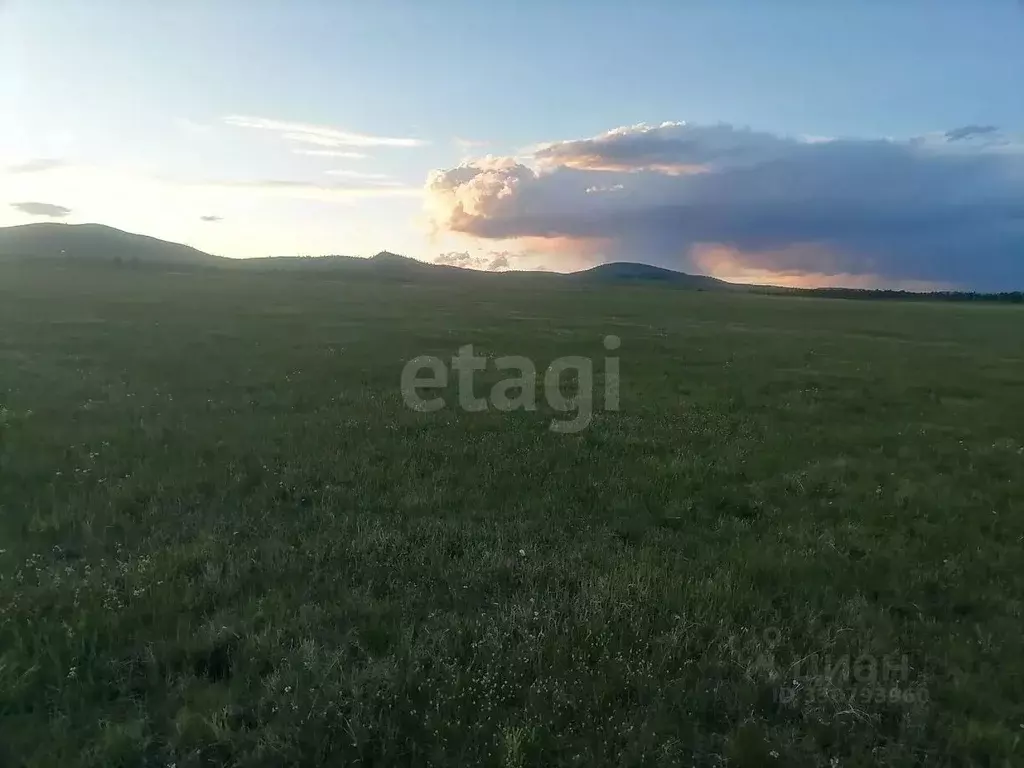 Участок в Забайкальский край, Читинский муниципальный округ, с. ... - Фото 1