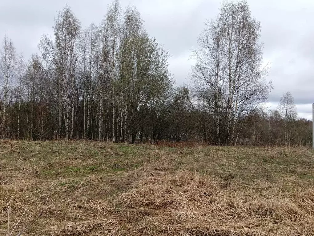 Участок в Ленинградская область, Всеволожский район, Лесколовское ... - Фото 0