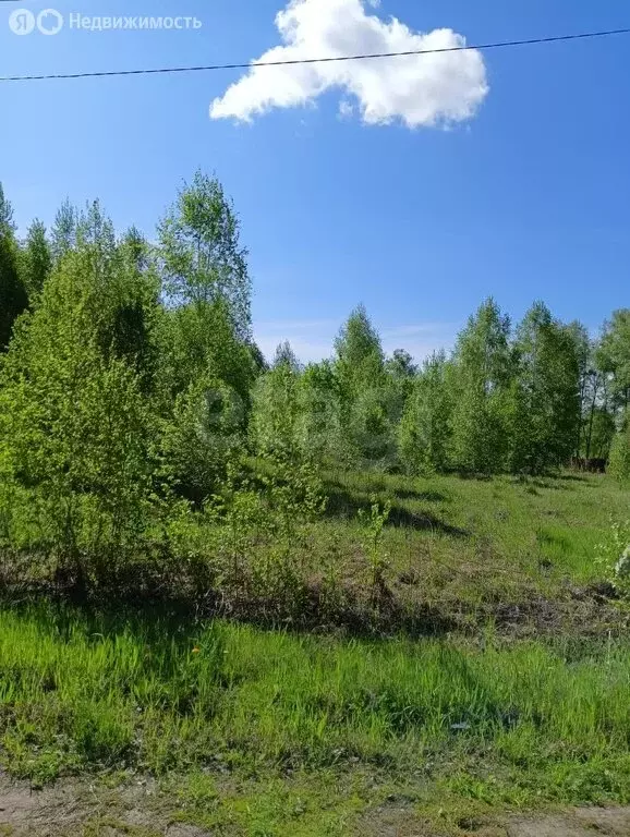 Участок в Ленинское, территория ДНТ Новониколаевский Посёлок, Лесная ... - Фото 0