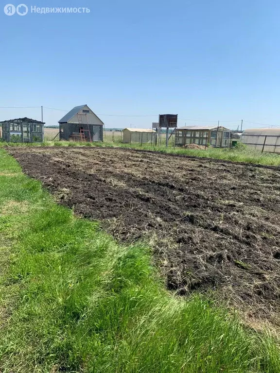 Участок в Курганская область, Кетовский муниципальный округ, деревня ... - Фото 1