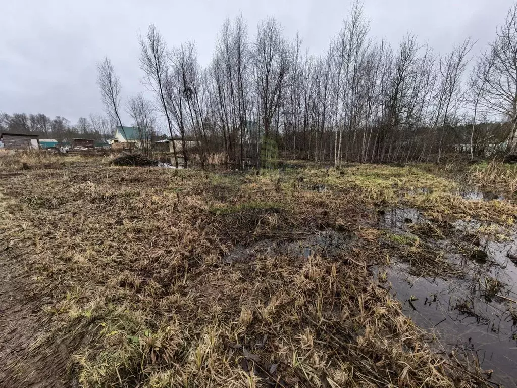 Участок в Московская область, Раменский муниципальный округ, д. ... - Фото 1