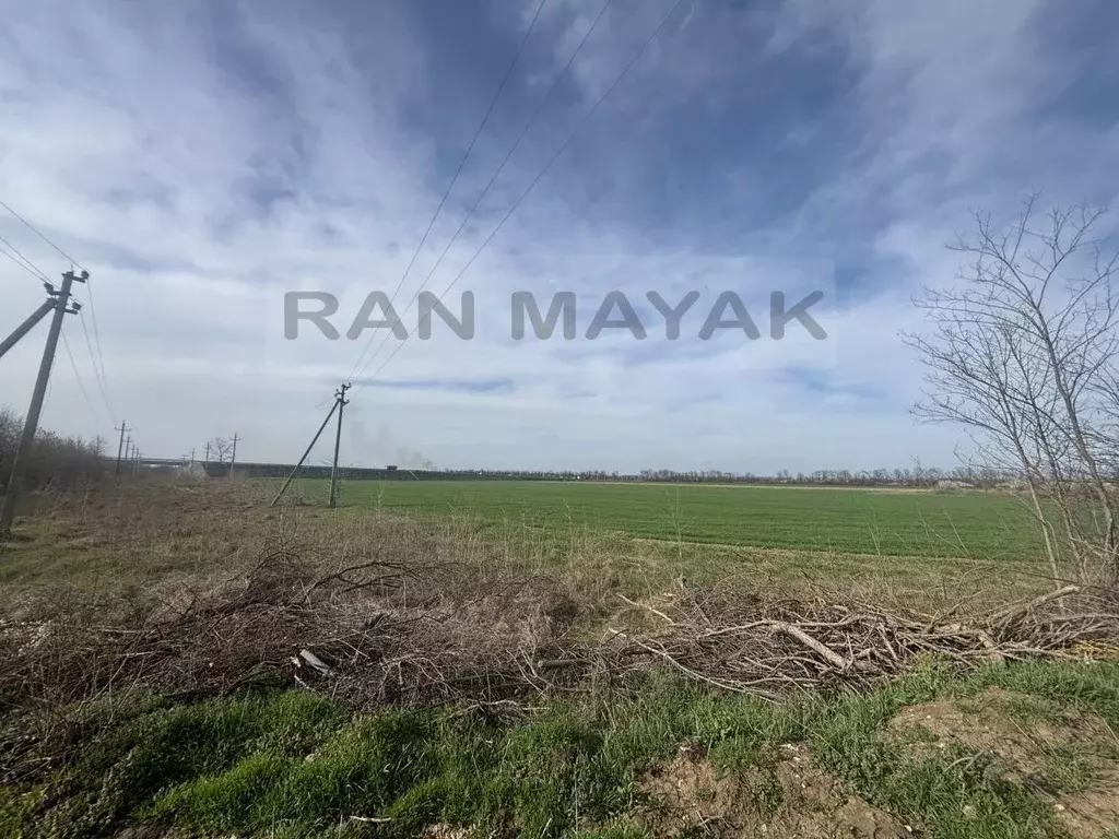 Участок в Адыгея, Майкоп городской округ, пос. Западный ул. Тополиная, ... - Фото 0