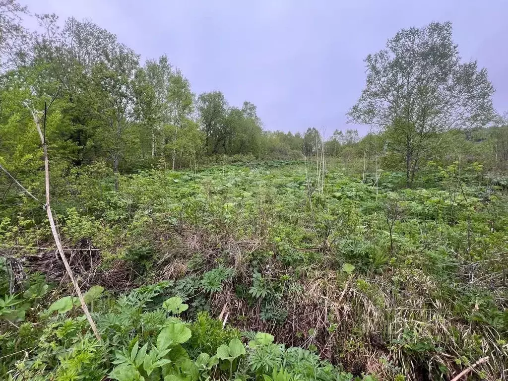 Участок в Сахалинская область, Южно-Сахалинск Весточка ДНТ,  (10.0 ... - Фото 1