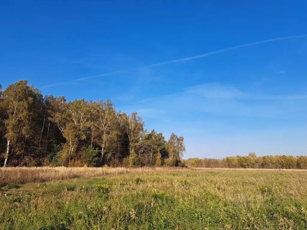 Участок в Московская область, Кашира городской округ, д. Никулино  ... - Фото 1