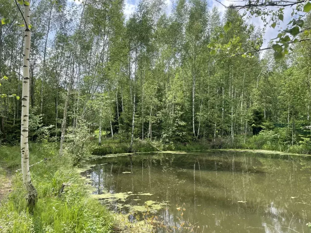 Участок в Московская область, Сергиево-Посадский городской округ, ... - Фото 1