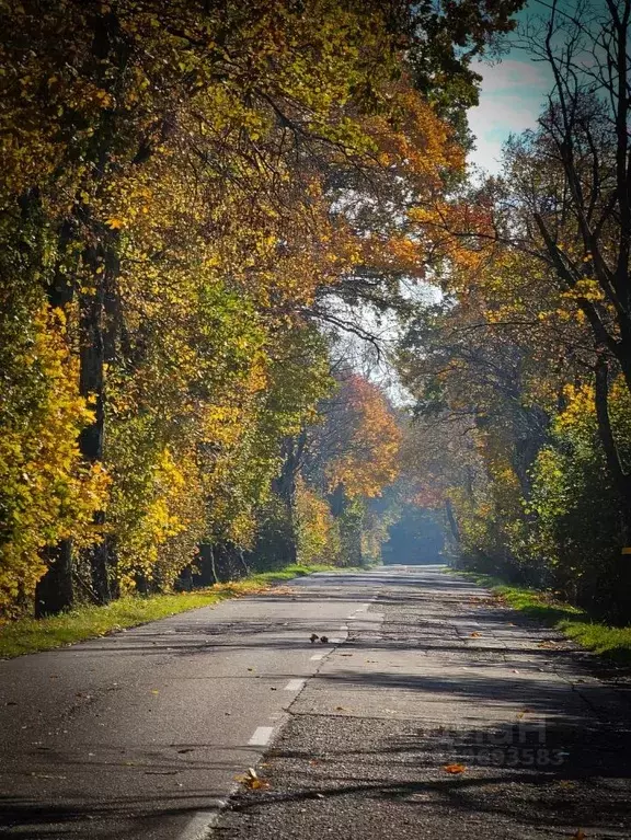 Участок в Краснодарский край, Сочи городской округ, с. ... - Фото 0