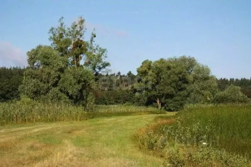 Участок в Курская область, Курский район, Лебяженский сельсовет, д. ... - Фото 0