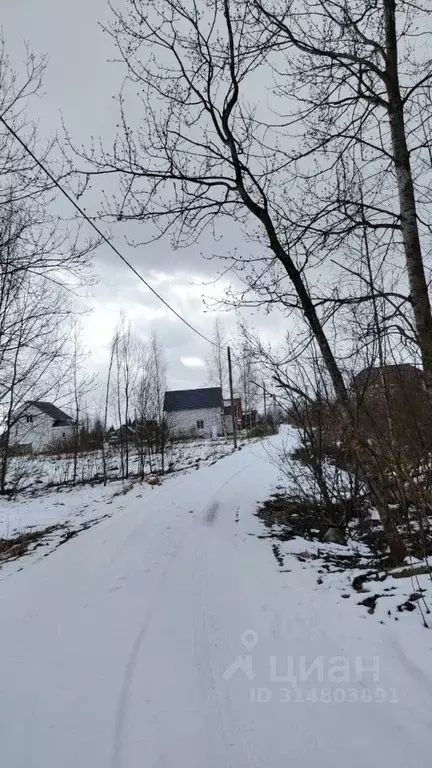 Участок в Новгородская область, Новгородский район, Трубичинское ... - Фото 1