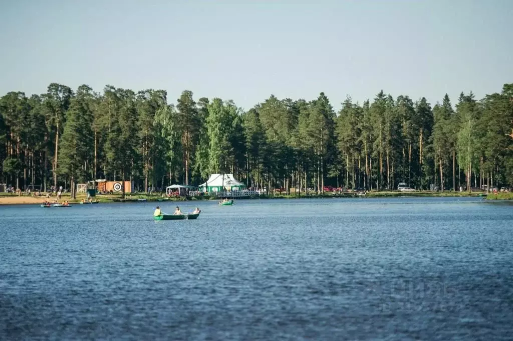 Участок в Ленинградская область, Всеволожский район, Колтушское ... - Фото 2