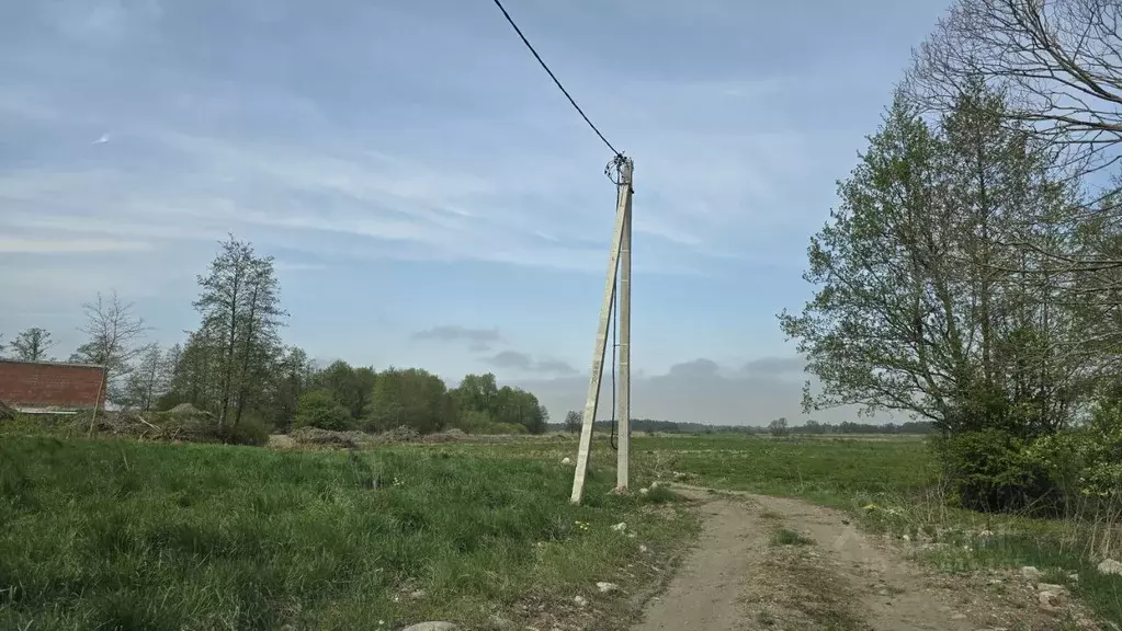 Участок в Калининградская область, Гурьевский муниципальный округ, ... - Фото 0