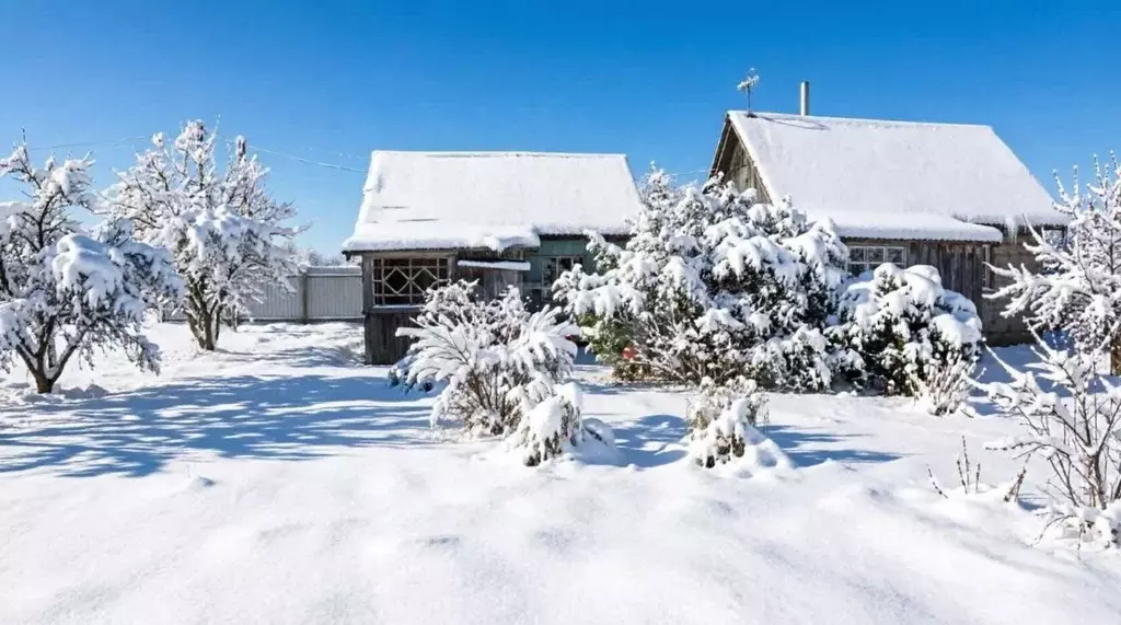 Участок в Брянская область, Сельцо  (6.0 сот.) - Фото 1