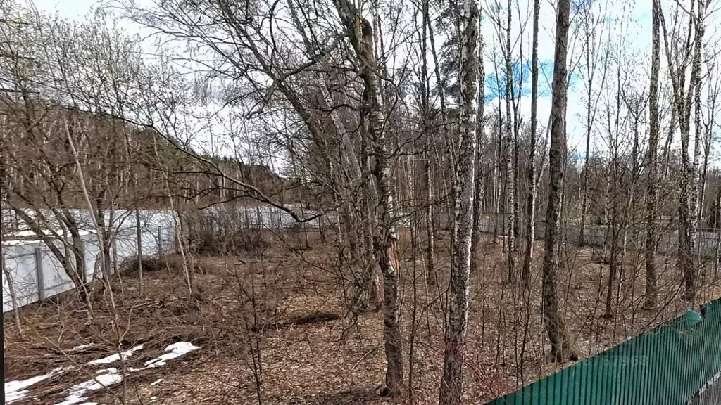 Участок в Московская область, Чехов муниципальный округ, д. Васькино, ... - Фото 1